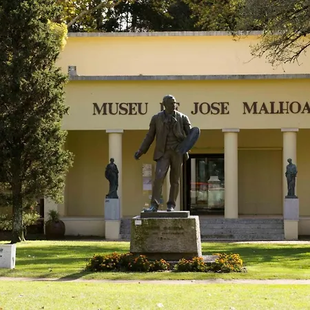 Casa Dos Capinha * Калдаш-да-Раинья