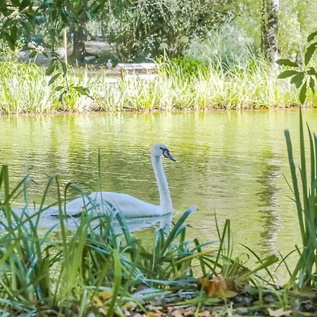Дом отдыха Casa Dos Capinha