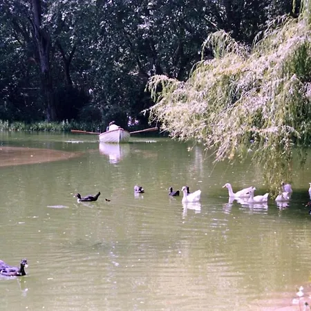 Дом отдыха Casa Dos Capinha *