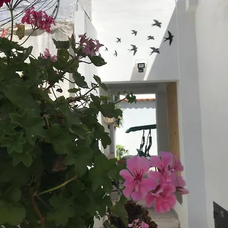 Сasa de vacaciones Casa Dos Capinha *
